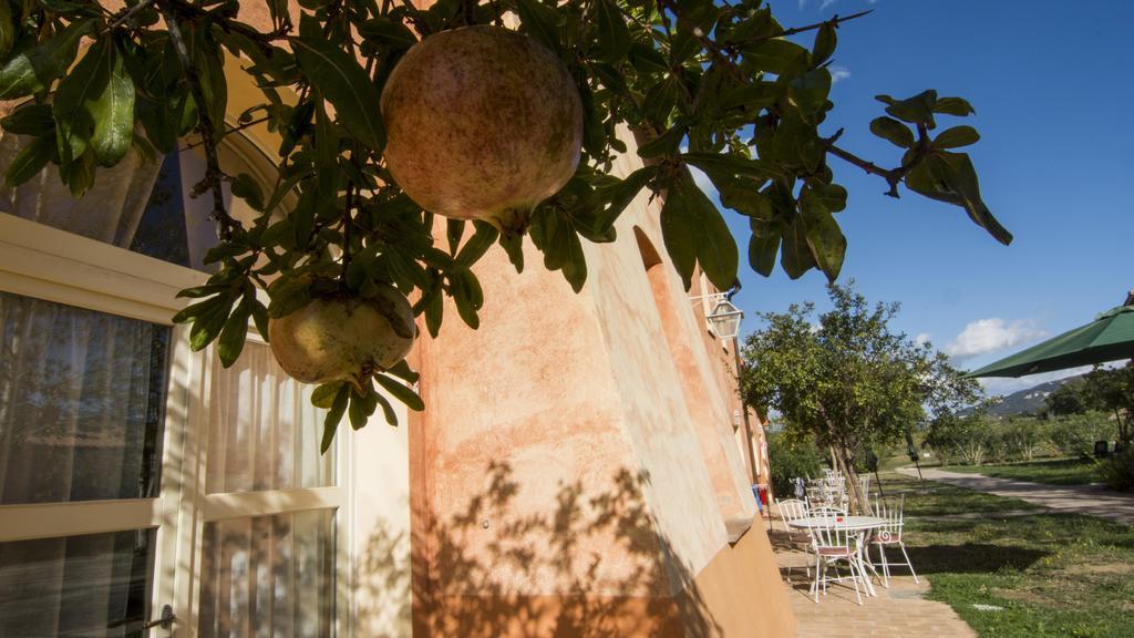 Residence La Beccanina Scarlino Dış mekan fotoğraf