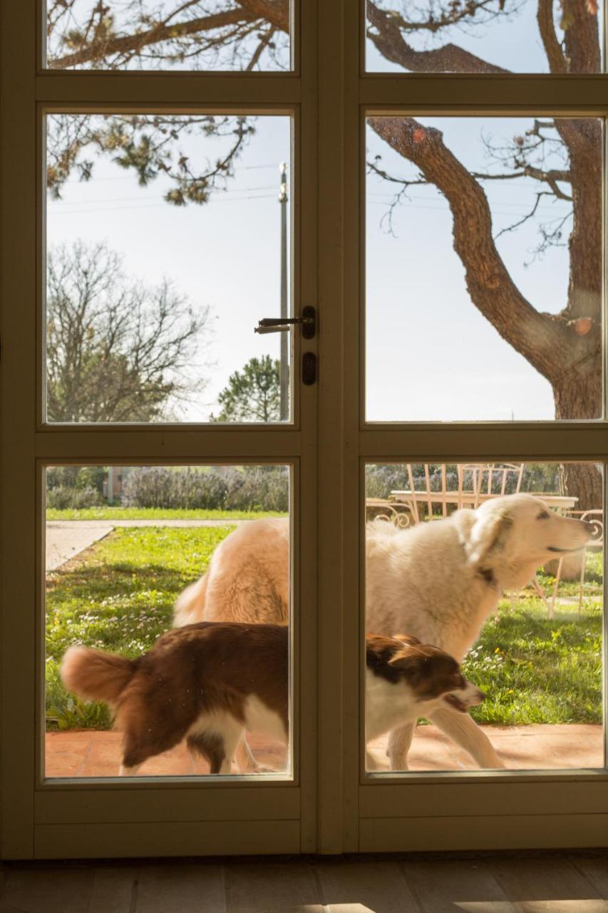 Residence La Beccanina Scarlino Dış mekan fotoğraf