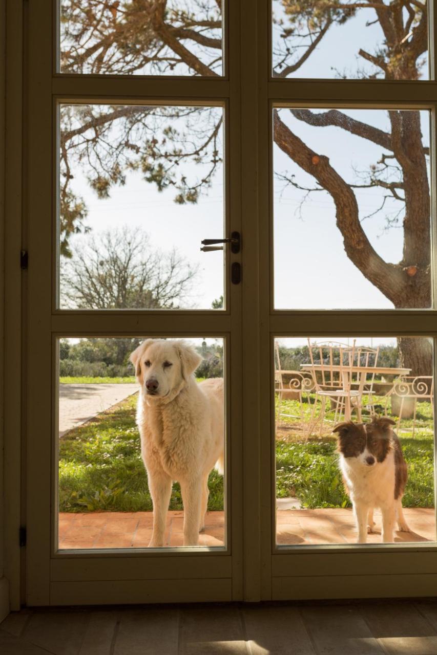 Residence La Beccanina Scarlino Dış mekan fotoğraf